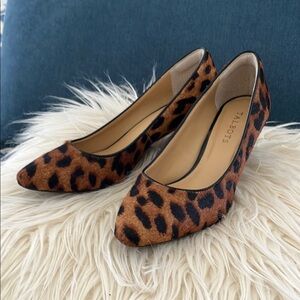 Talbots Brown and Black Heels Classic Pointed-Toe Pumps